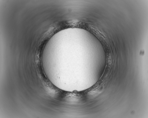 X0000094810611200711301553