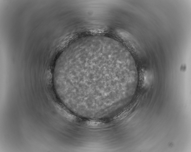 X0000094810614200711301553