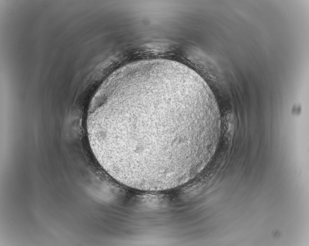 X0000094810615200711301553