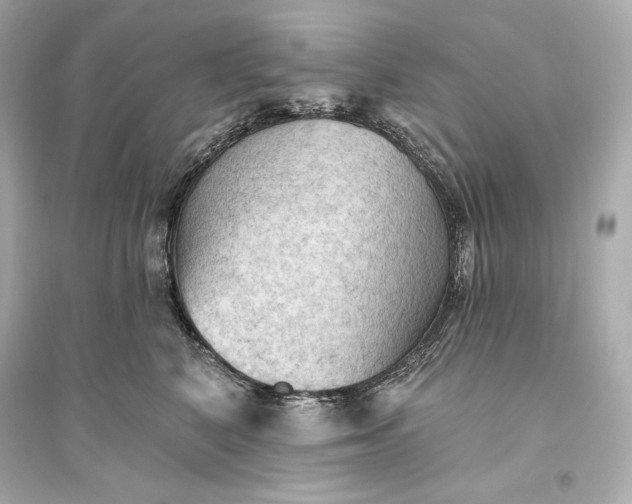 X0000094810616200711301553