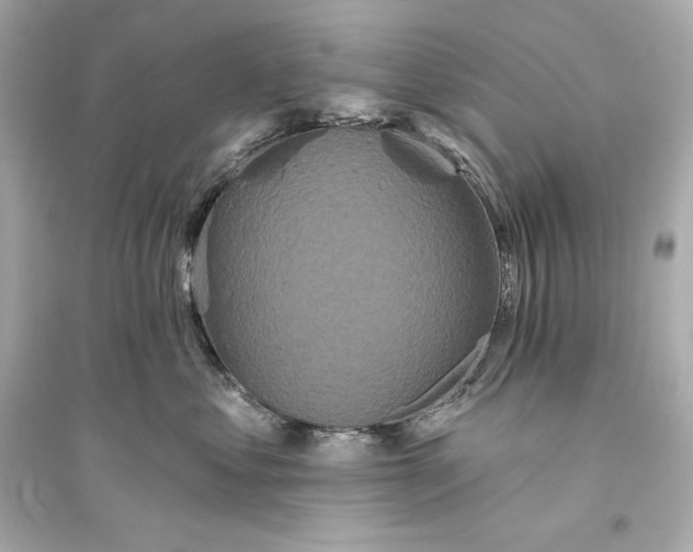 X0000094810621200711301553