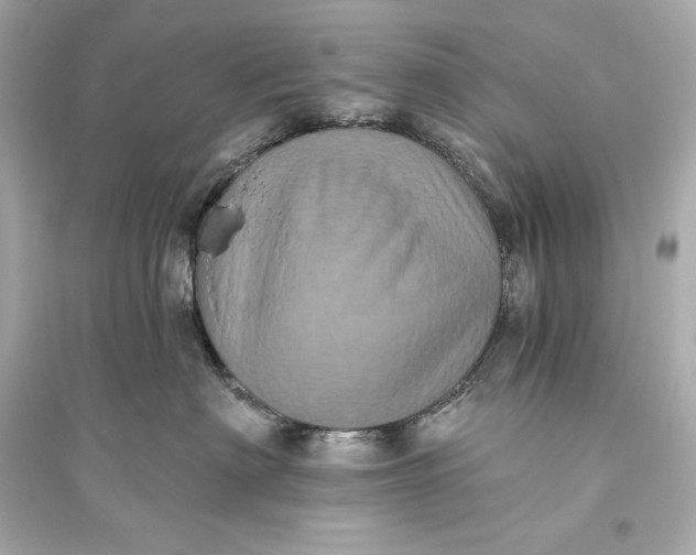 X0000094810622200711301553