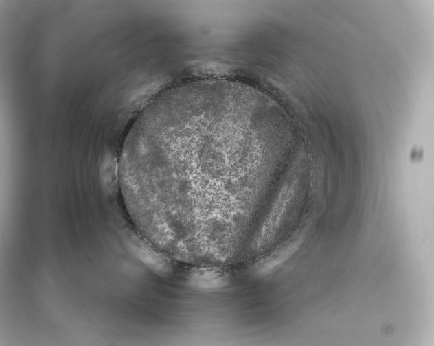 X0000094810624200711301552