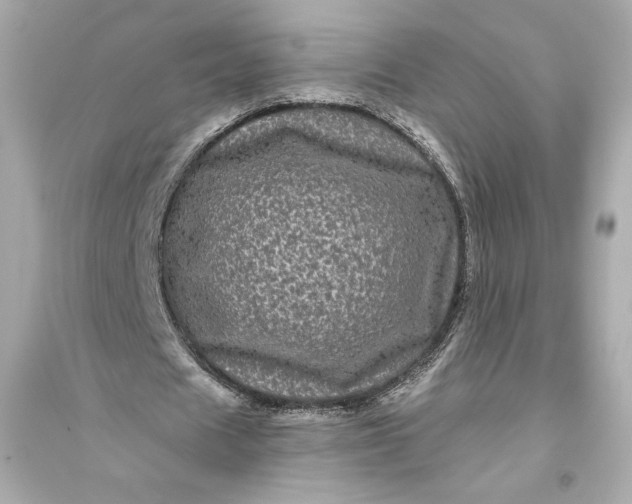 X0000094810625200711301552