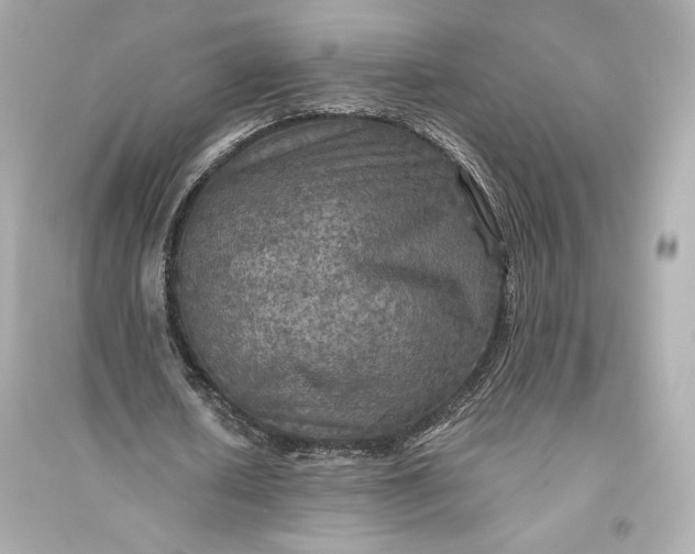 X0000094810626200711301552