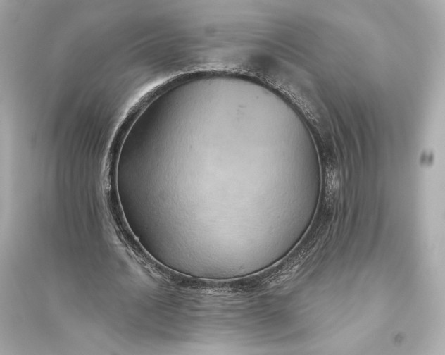 X0000094810628200711301552