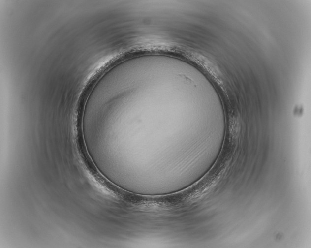 X0000094810629200711301552