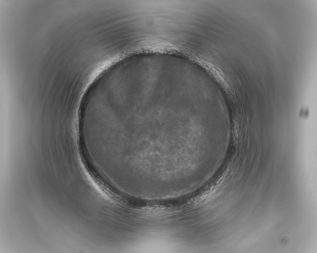 X0000094810630200711301552