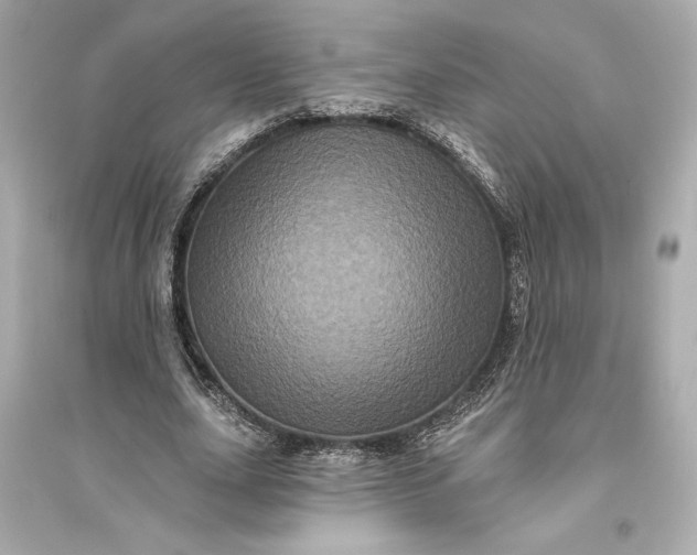 X0000094810631200711301552