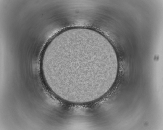 X0000094810632200711301552