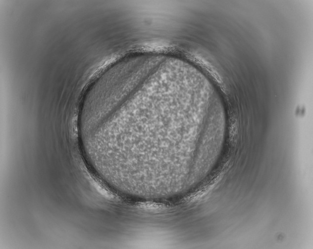 X0000094810633200711301552