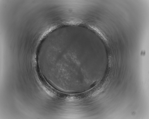 X0000094810634200711301552