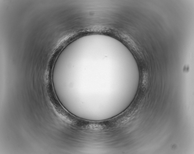 X0000094810636200711301552