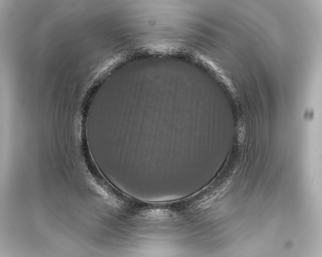 X0000094810637200711301552