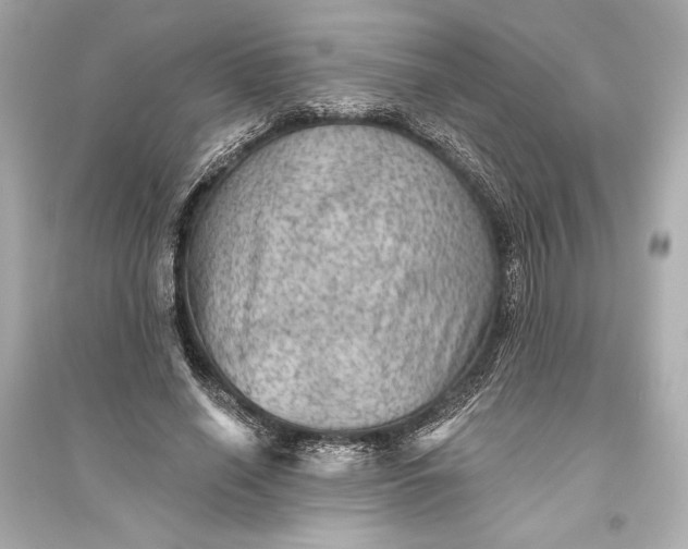 X0000094810638200711301552