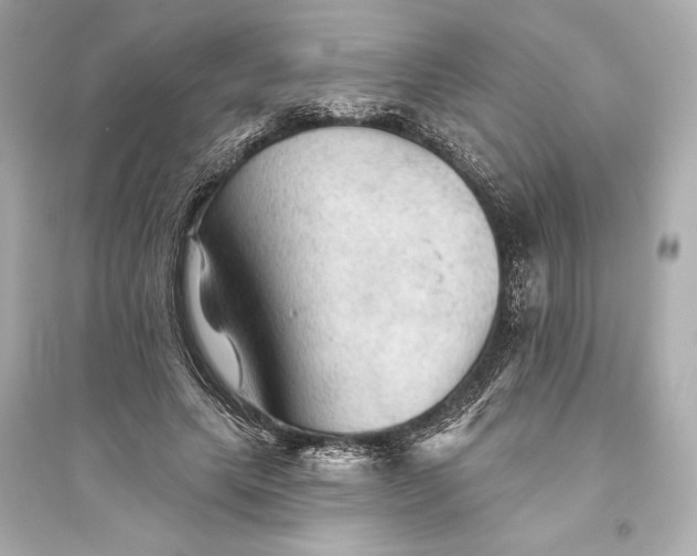 X0000094810639200711301552