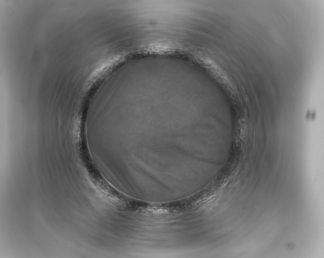 X0000094810640200711301552