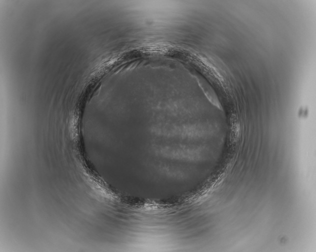 X0000094810641200711301552