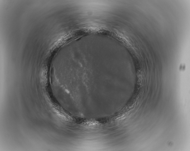 X0000094810642200711301552