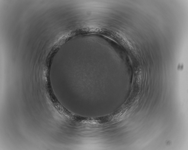 X0000094810643200711301552