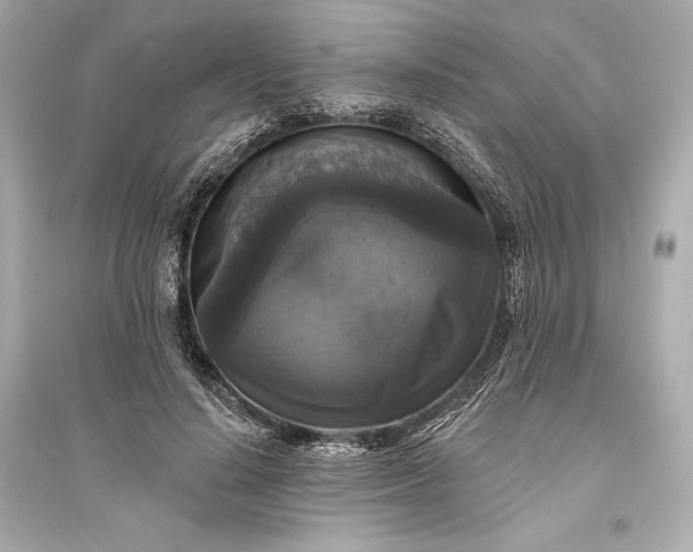 X0000094810644200711301552