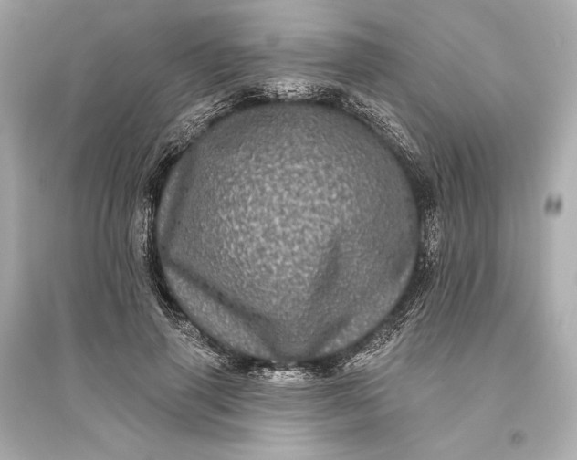 X0000094810645200711301552