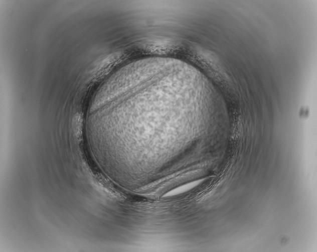 X0000094810646200711301552