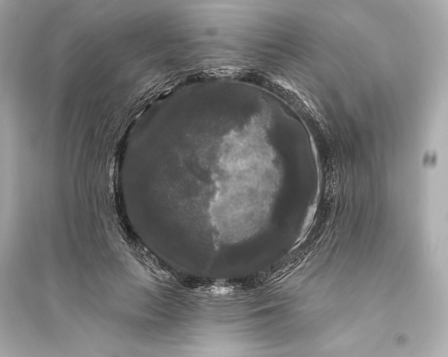 X0000094810647200711301552