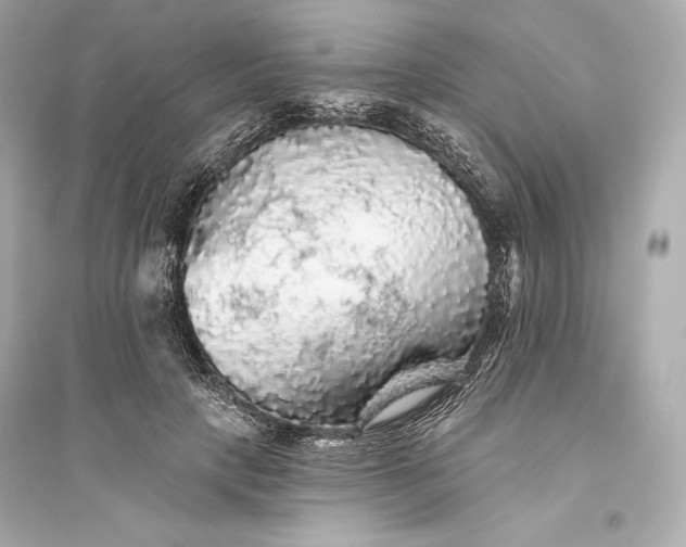 X0000094810649200711301552