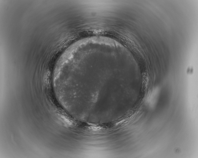 X0000094810650200711301552