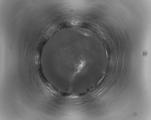 X0000094810651200711301552