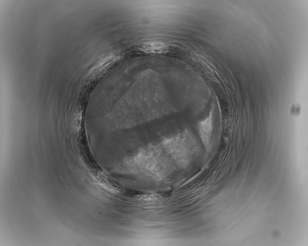 X0000094810652200711301552