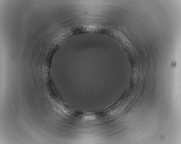 X0000094810653200711301552