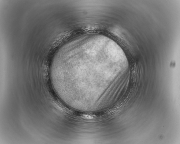 X0000094810654200711301552