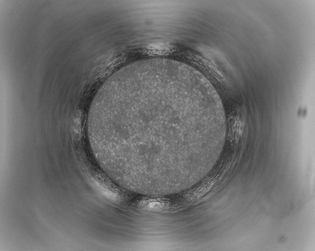 X0000094810655200711301552