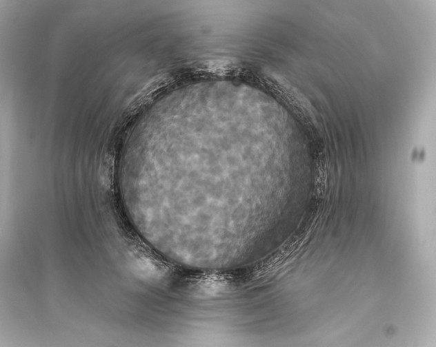 X0000094810656200711301552