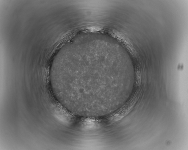 X0000094810657200711301552