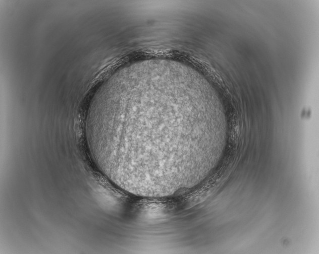 X0000094810658200711301552