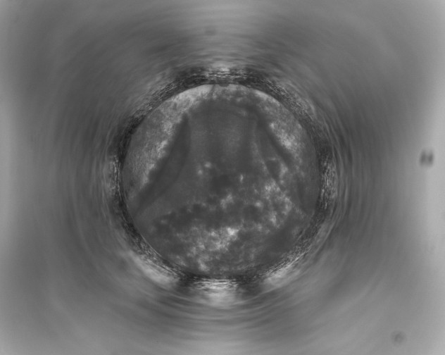 X0000094810659200711301552