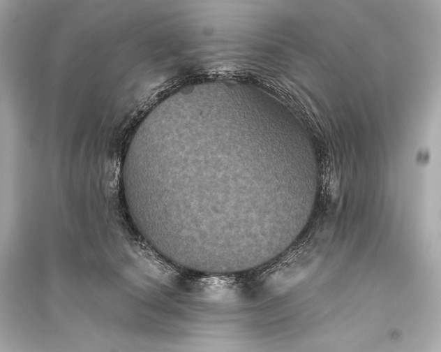 X0000094810660200711301552