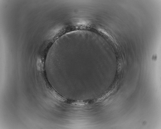 X0000094810661200711301552