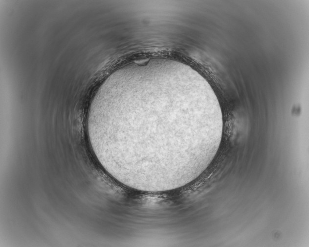 X0000094810662200711301552