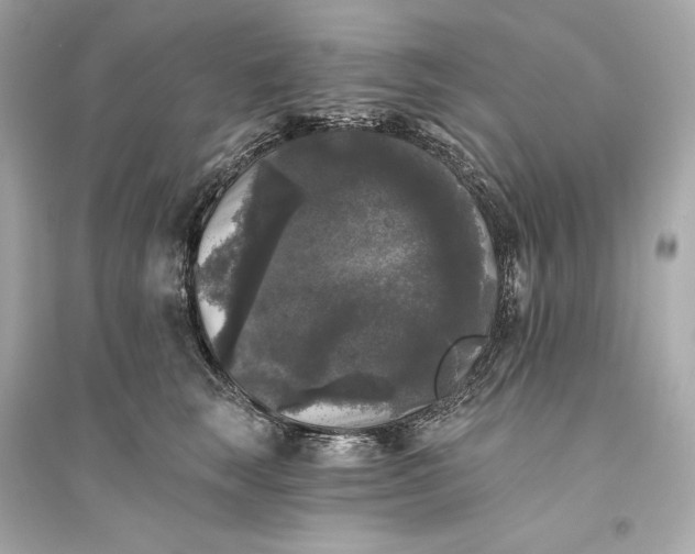 X0000094810663200711301552