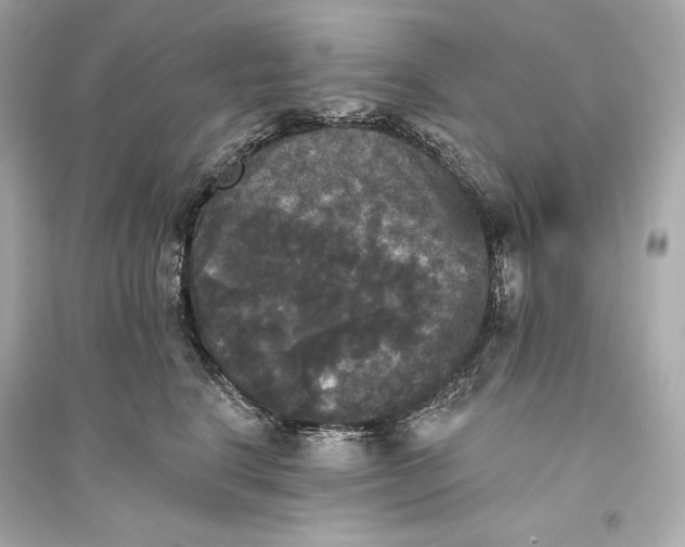 X0000094810664200711301552