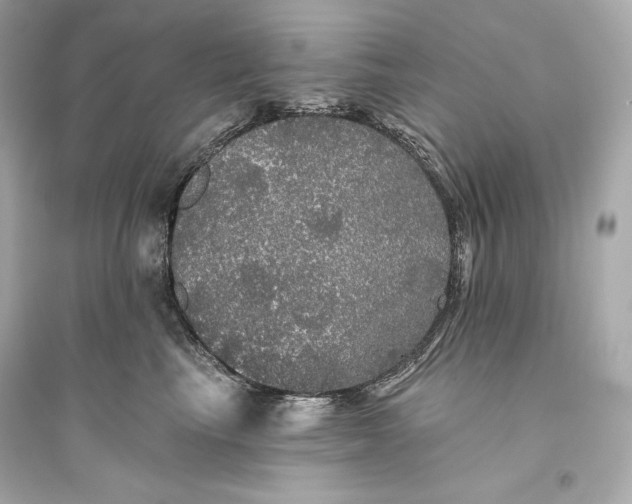 X0000094810665200711301552