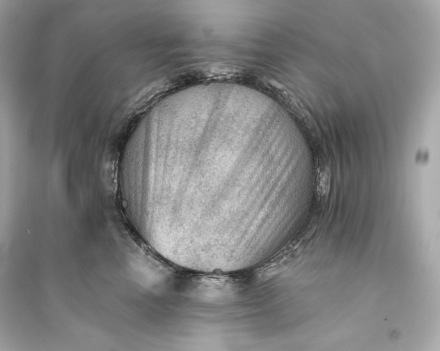 X0000094810666200711301552