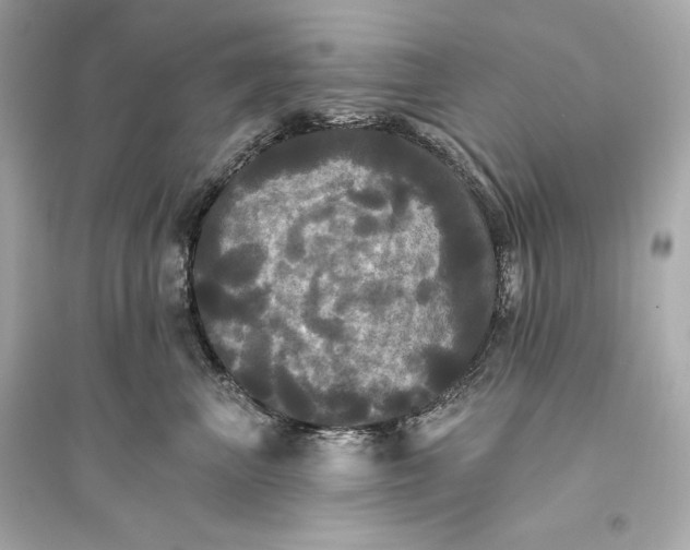 X0000094810667200711301552