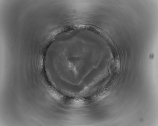 X0000094810668200711301552