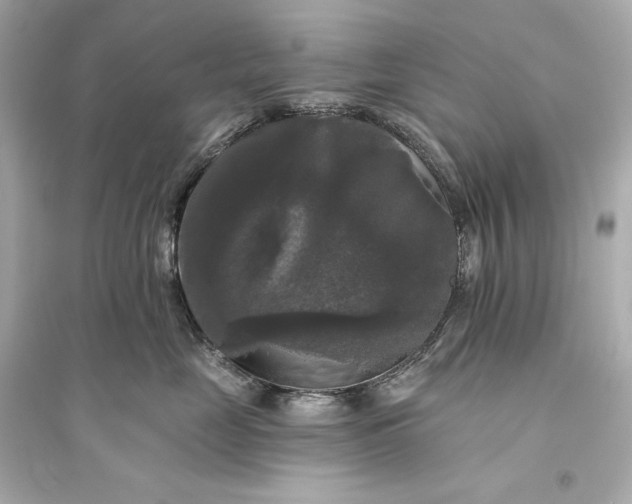 X0000094810669200711301552