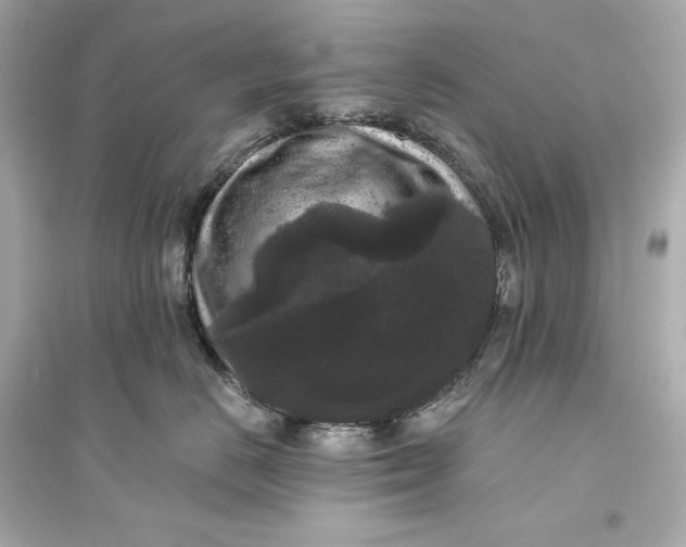 X0000094810670200711301552